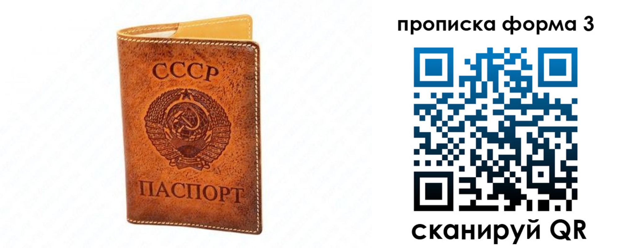 временная регистрация госуслуги в Никольске